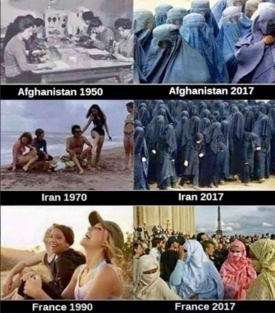 Social Justice Warriors