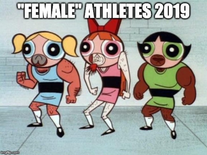 Social Justice Warriors