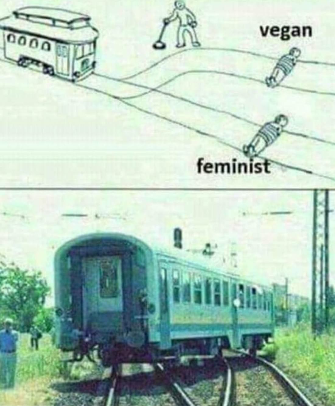 Social Justice Warriors