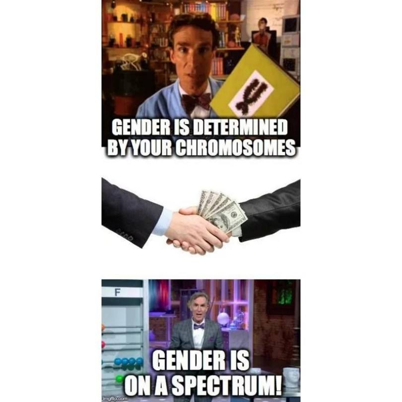 Social Justice Warriors