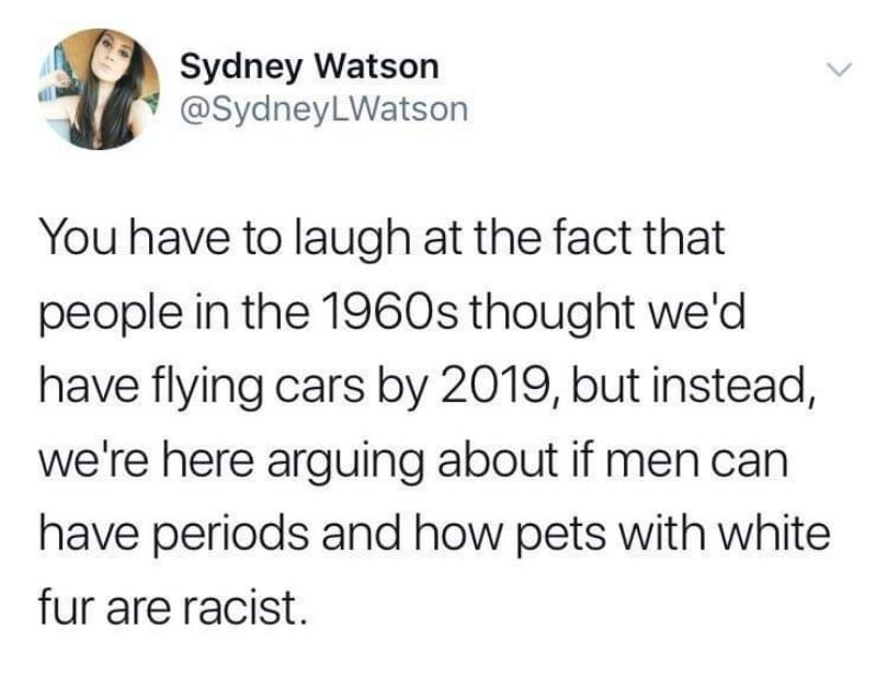Social Justice Warriors