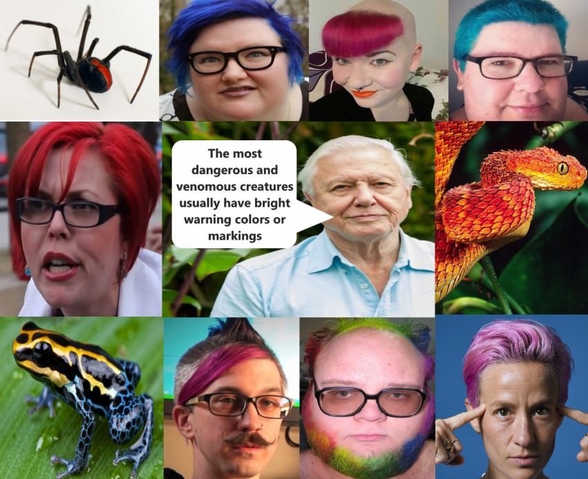 Social Justice Warriors