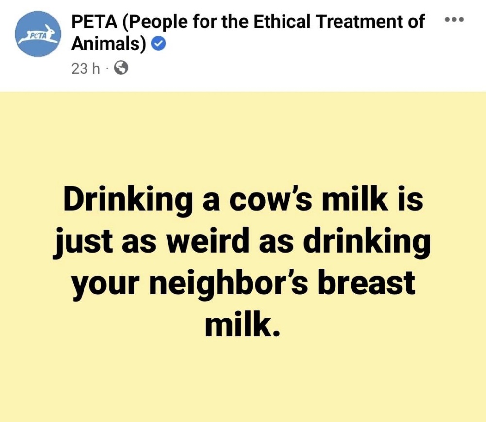 Social Justice