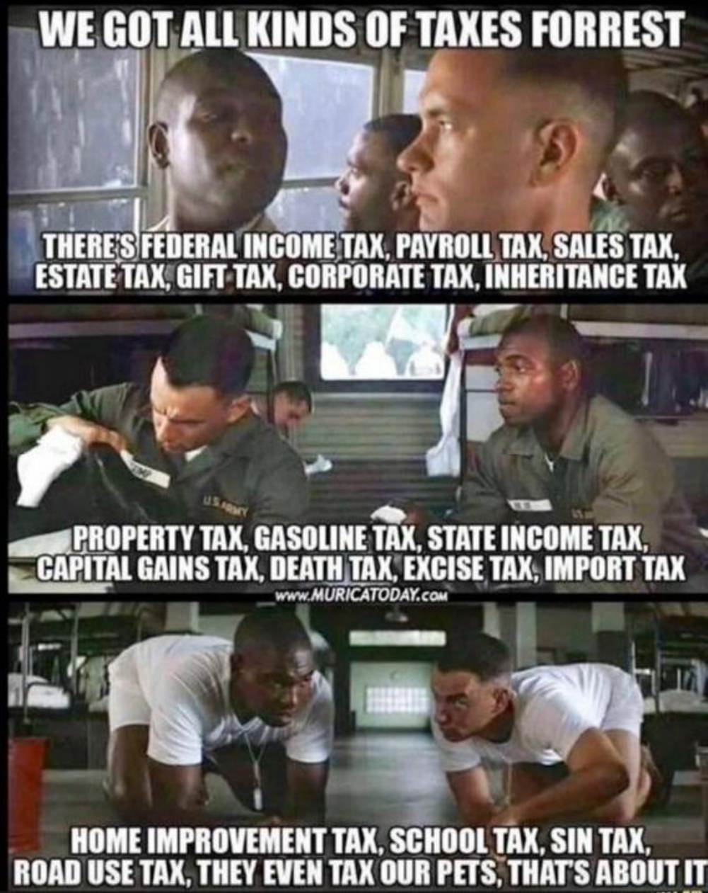 Social Justice