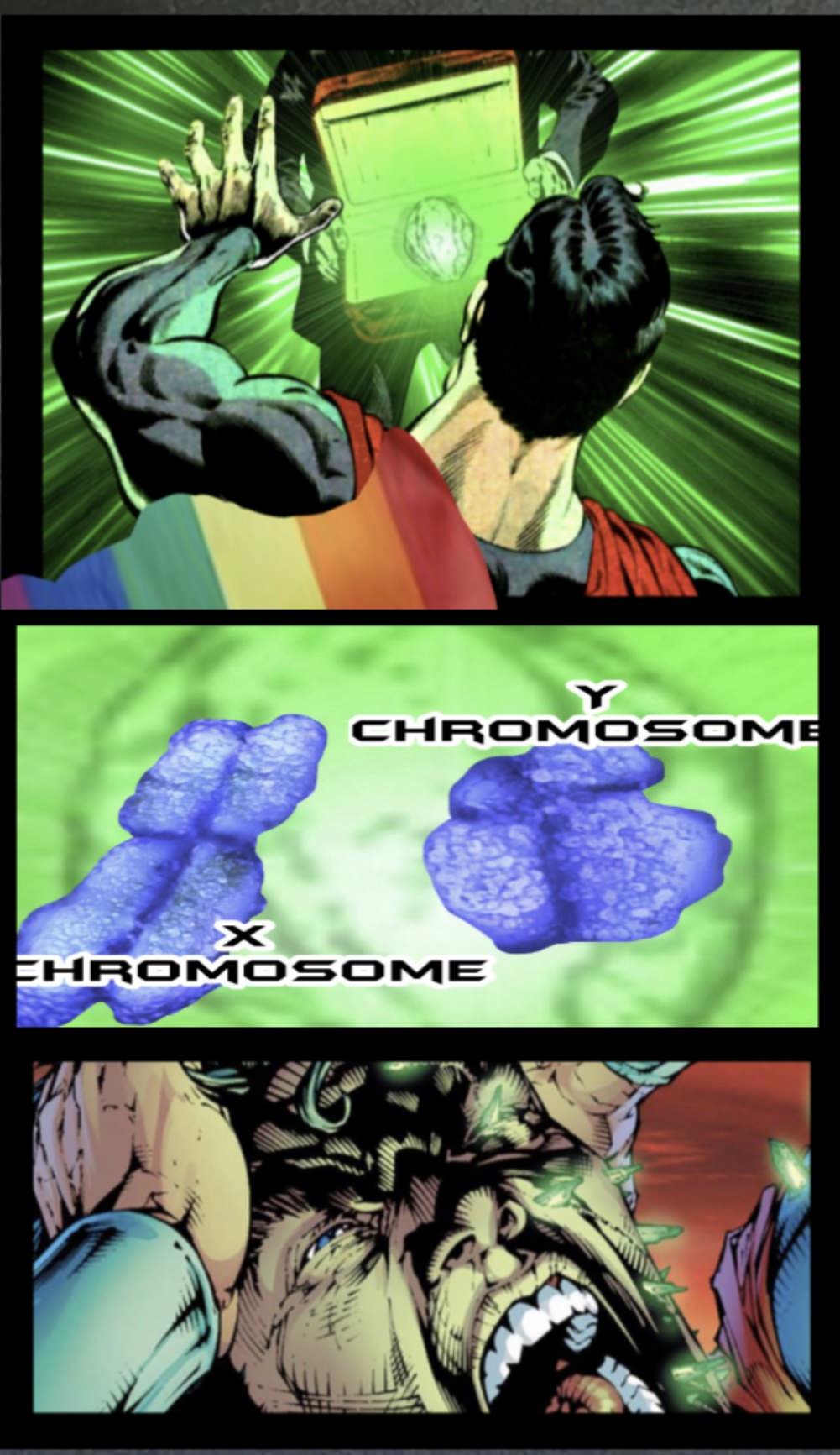 Social Justice