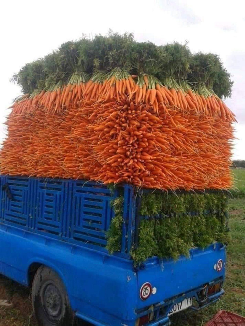 A Special Delivery