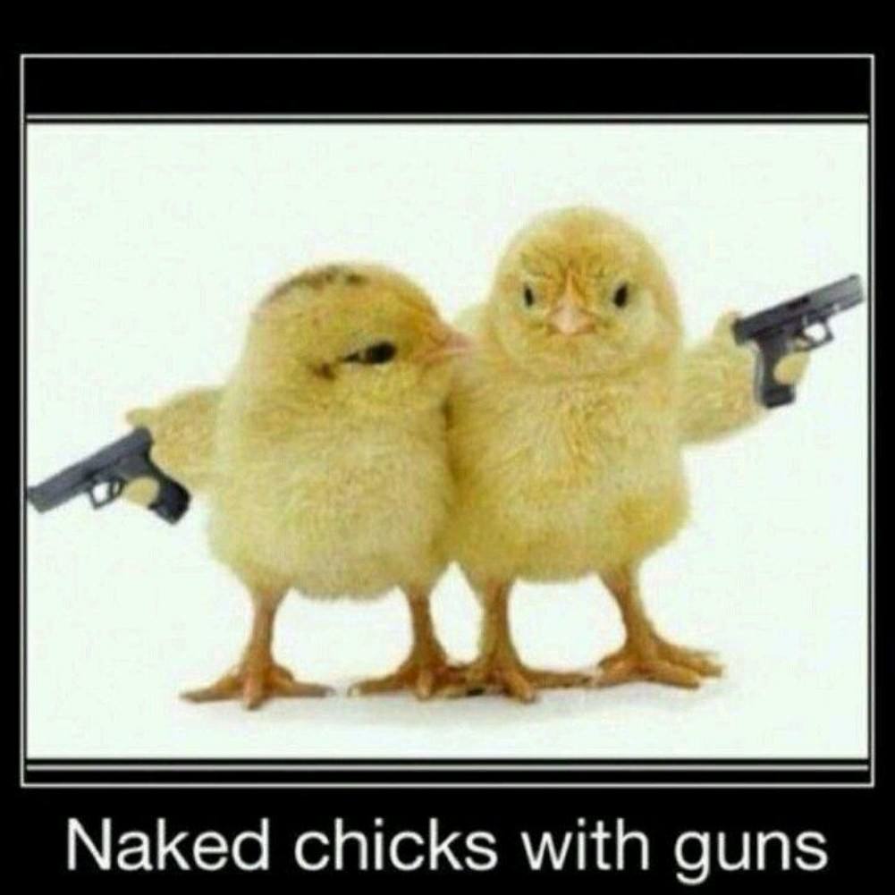 Sunday Gunday