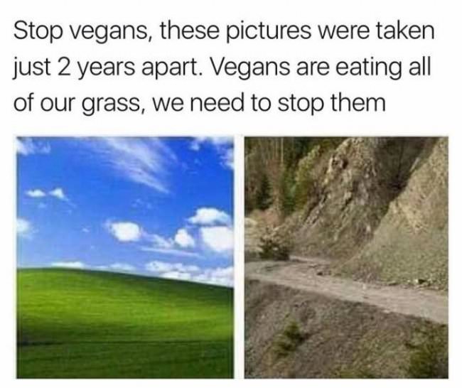 vegans