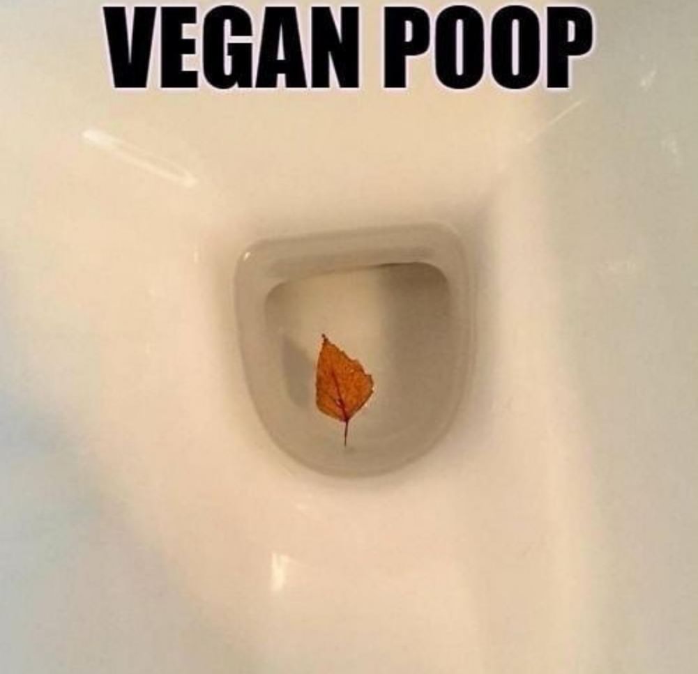 Vegans are weird