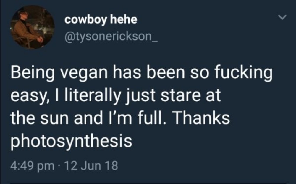 Vegans are weird