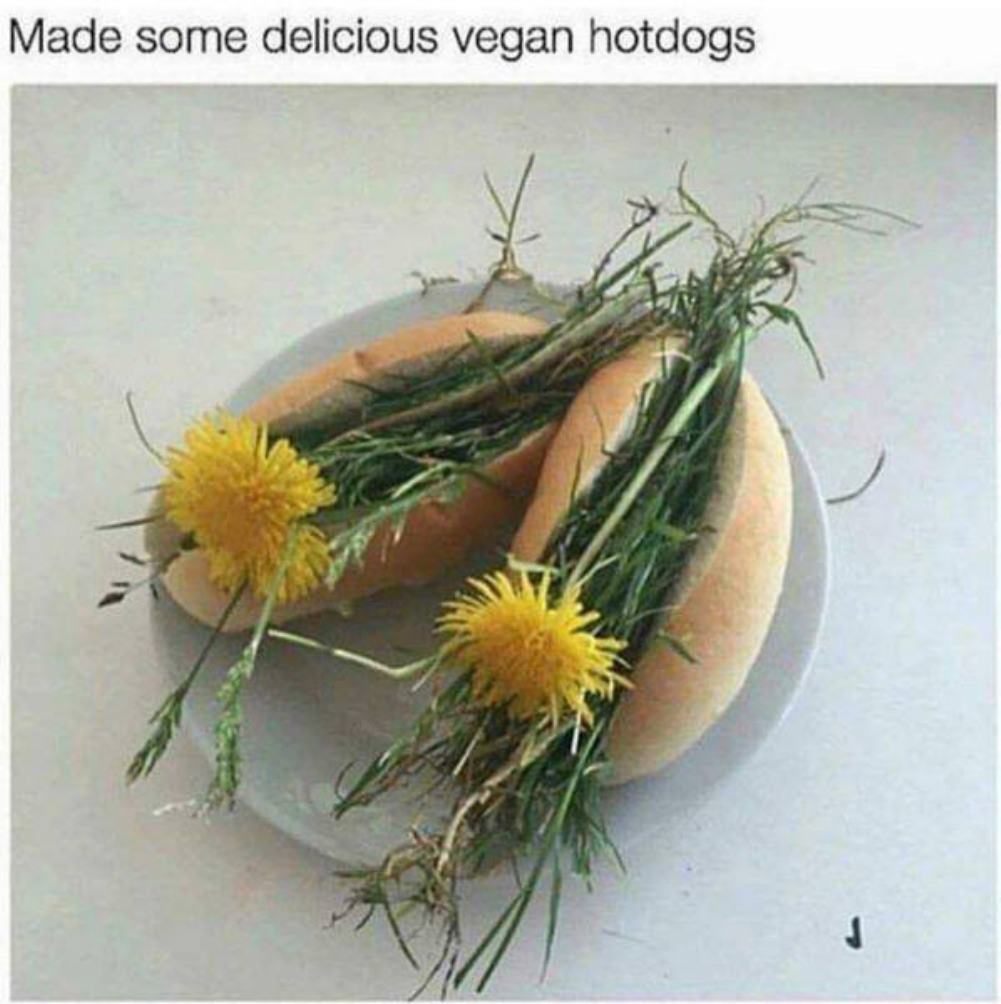 Vegans are weird