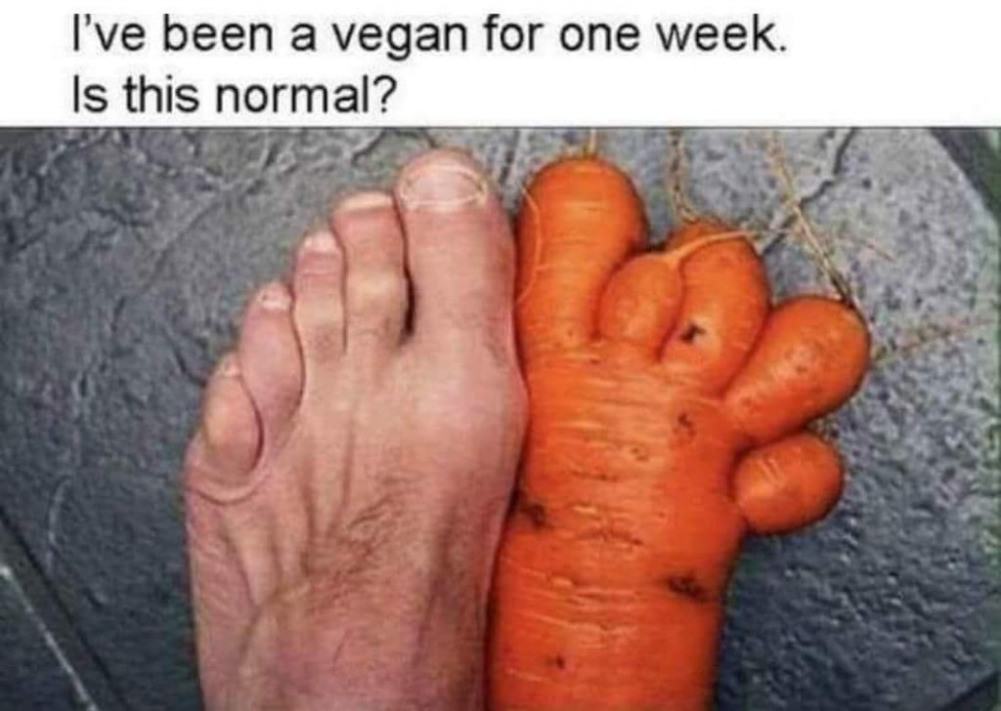 Vegans are weird