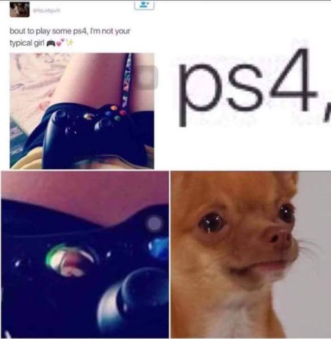gamers