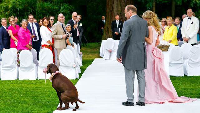 Interesting Wedding Photos