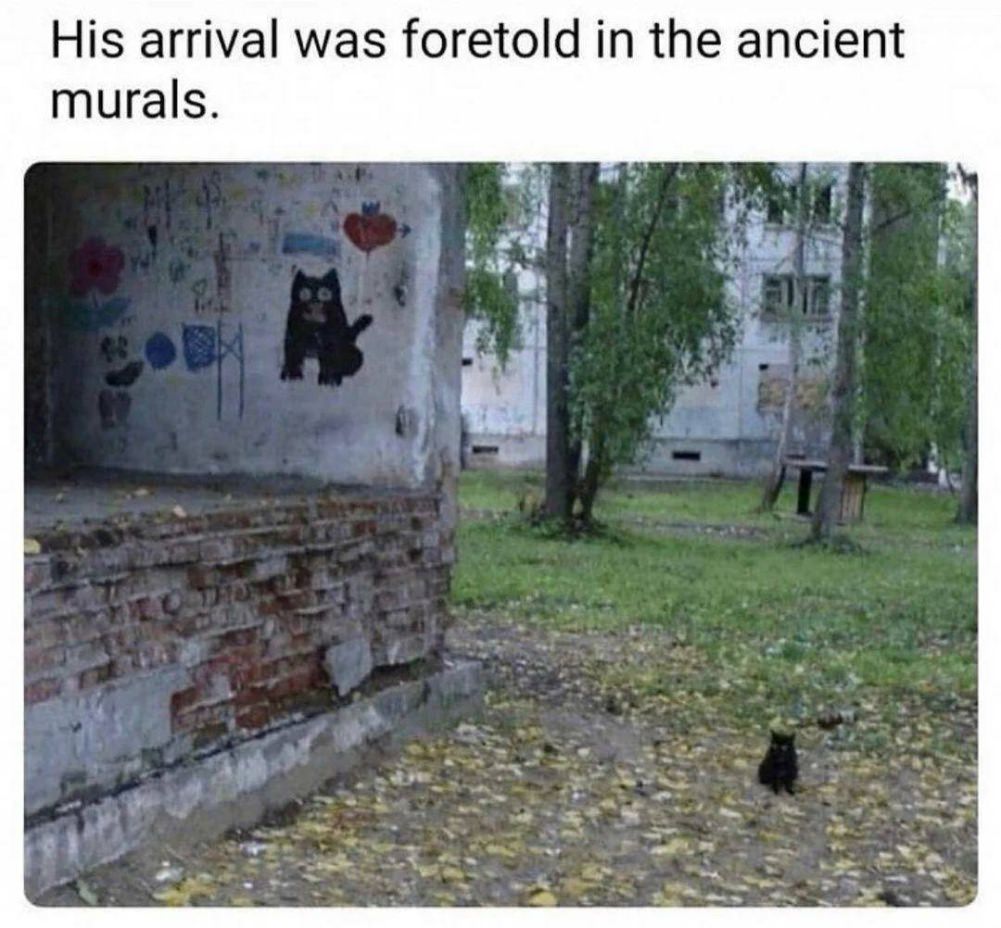 Weird Stuff