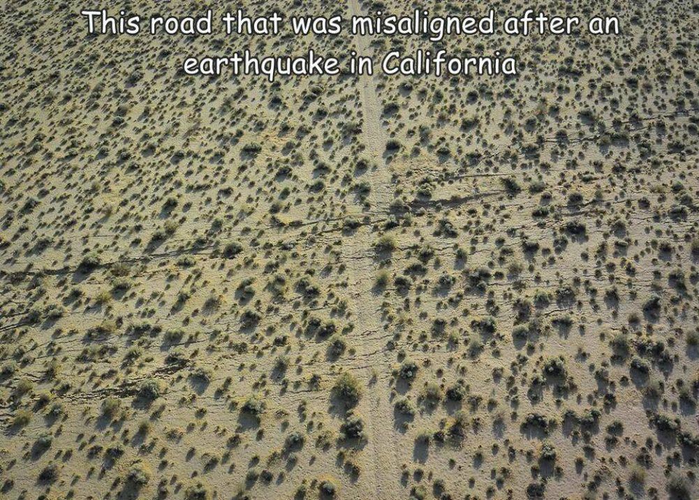 Weird Stuff