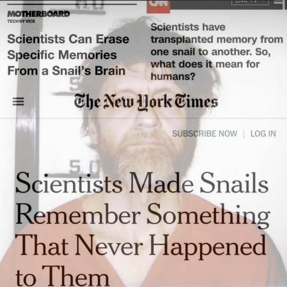 That was weird