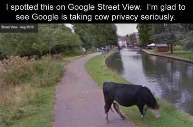 weird