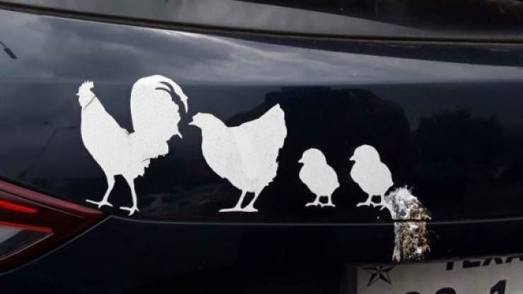 Full of Win
