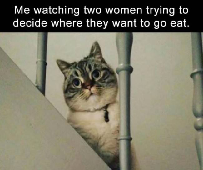 logic