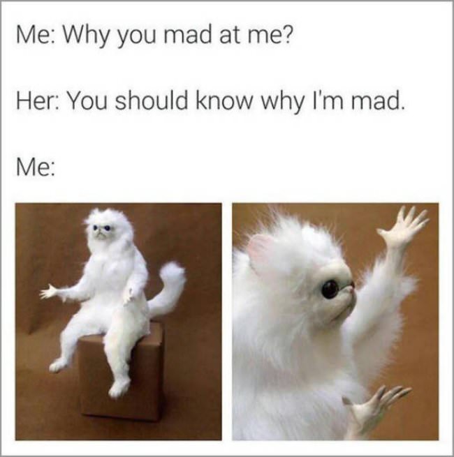 logic