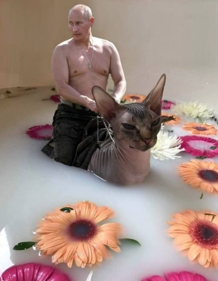WTF