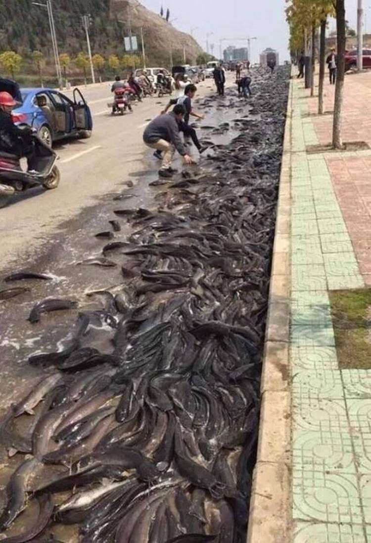 WTF
