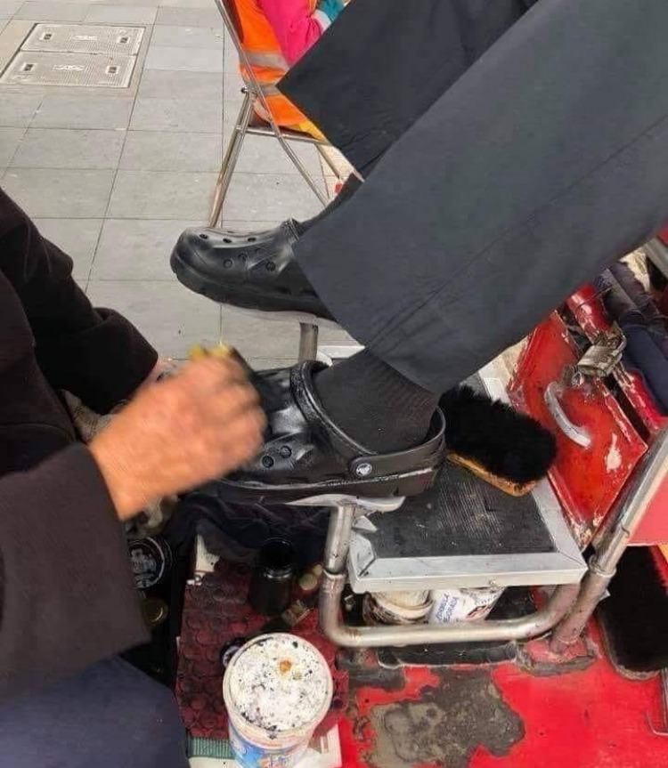WTF