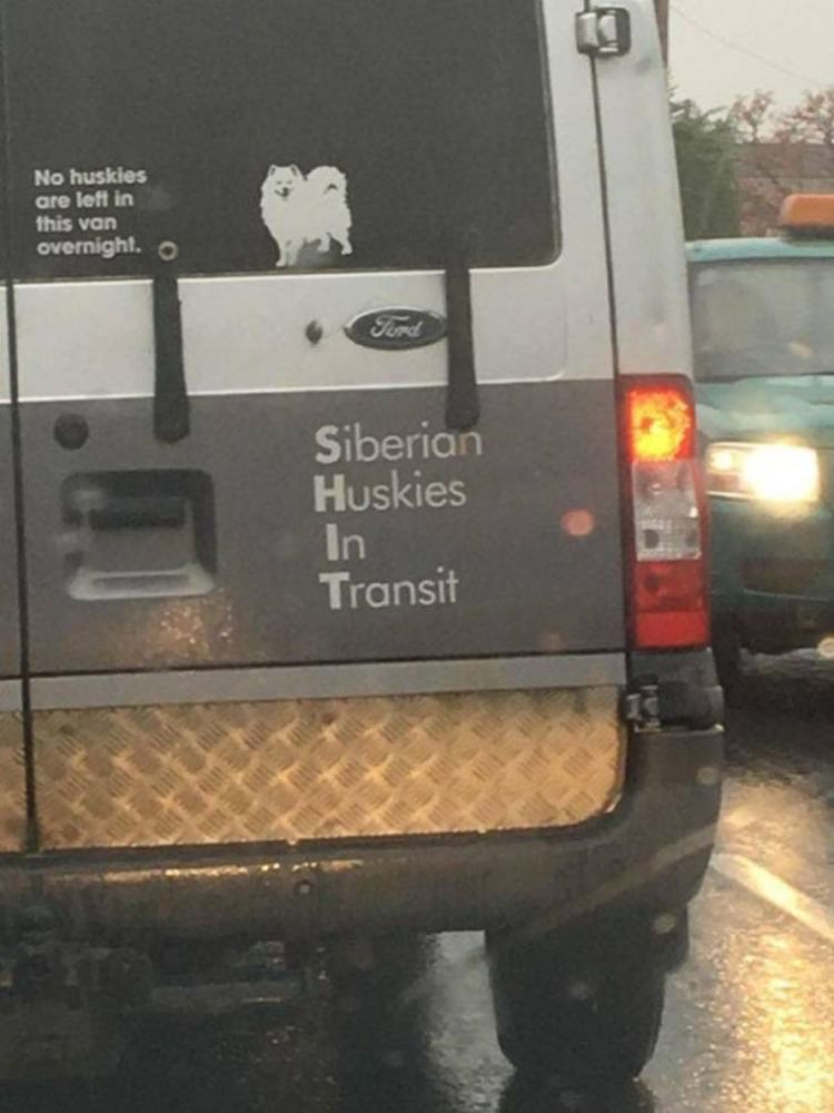 WTF