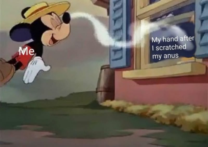 WTF