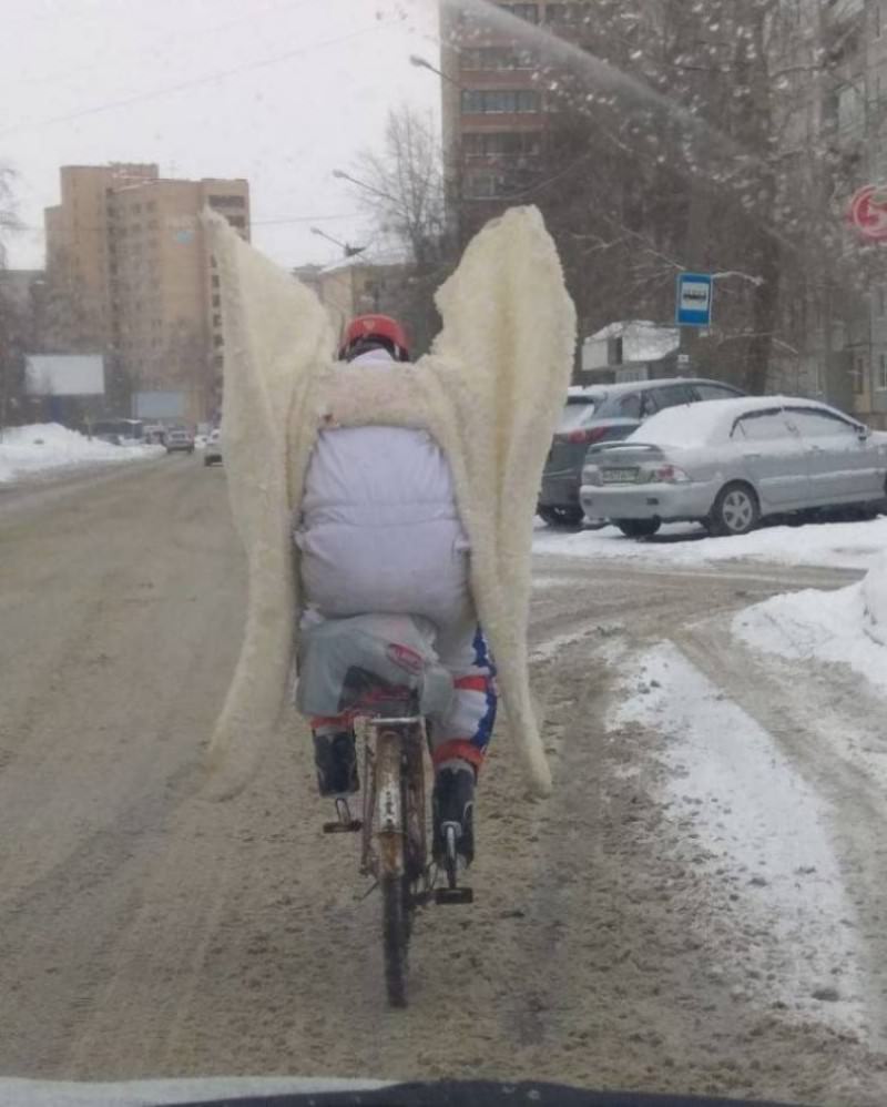 WTF