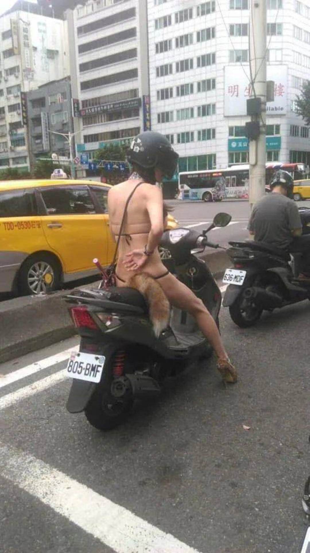 WTF