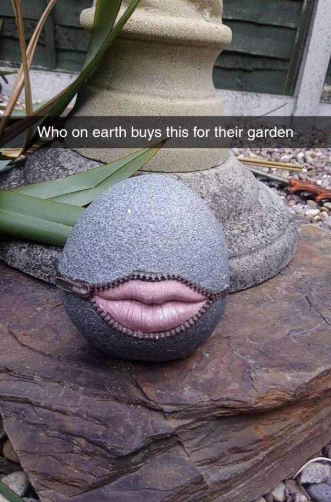WTF