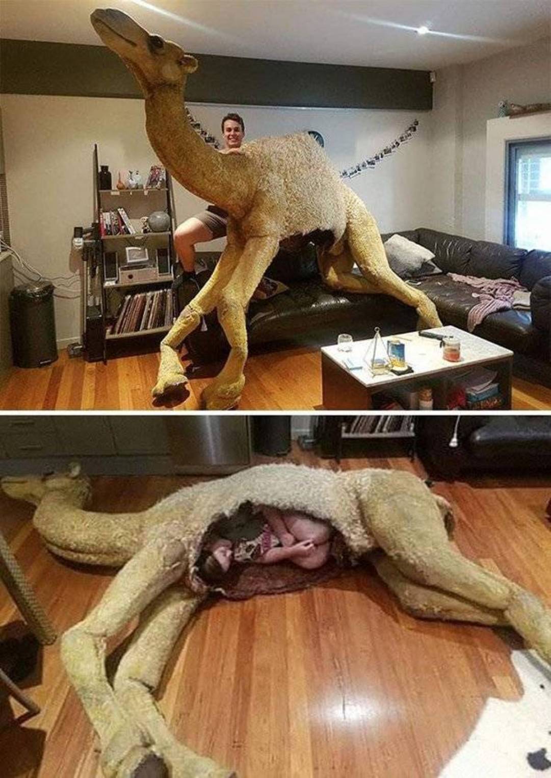WTF