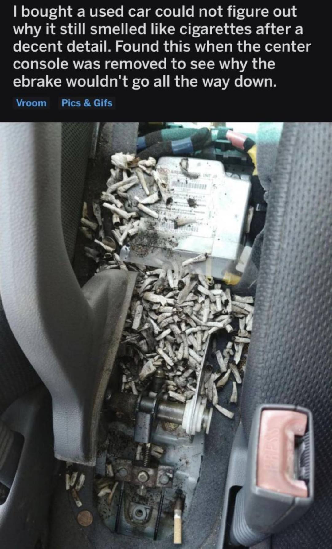 WTF