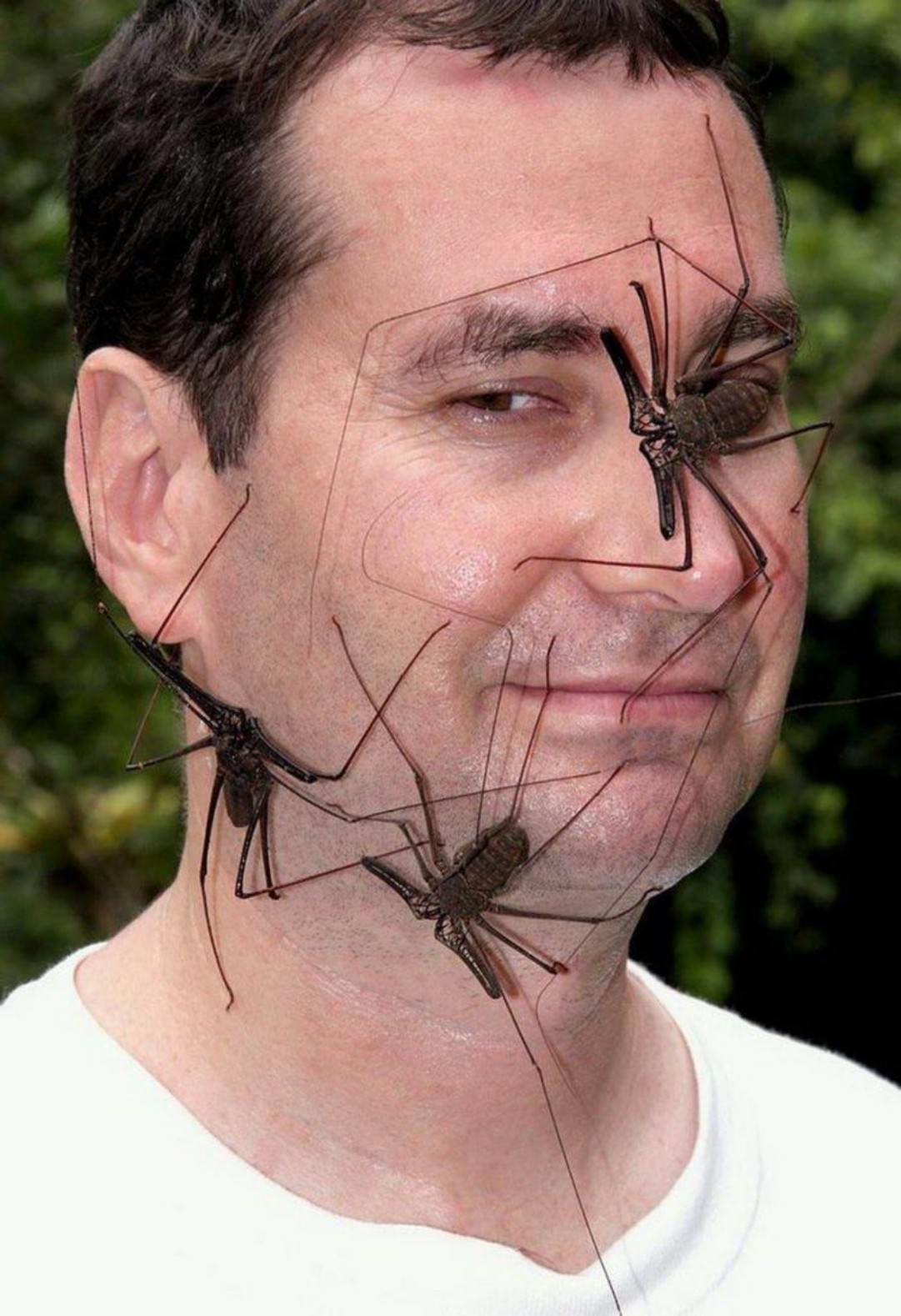 WTF