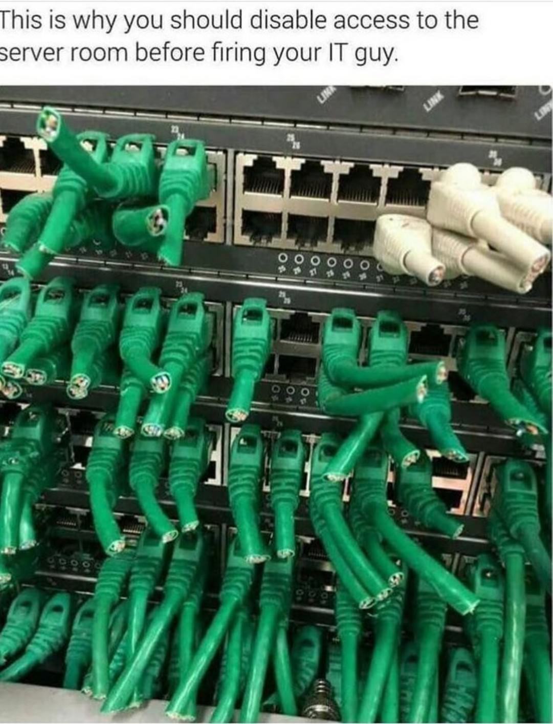 WTF