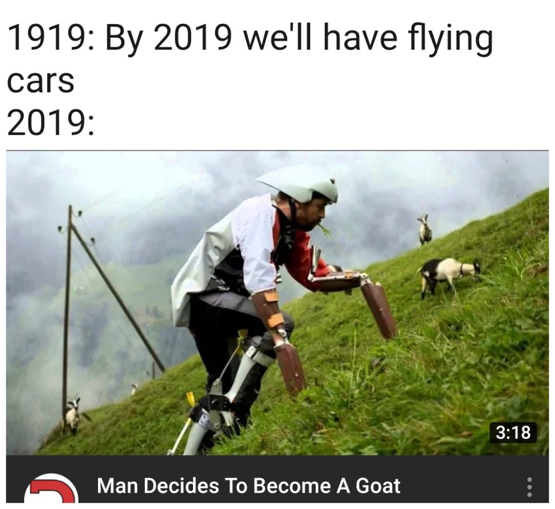 WTF