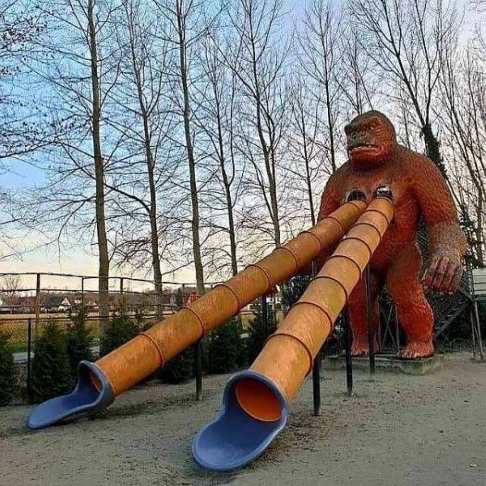 WTF