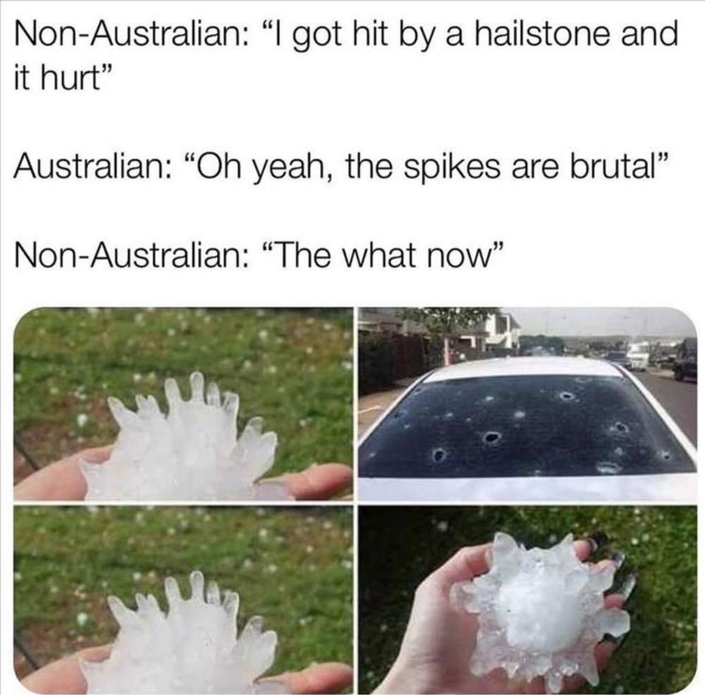 WTF