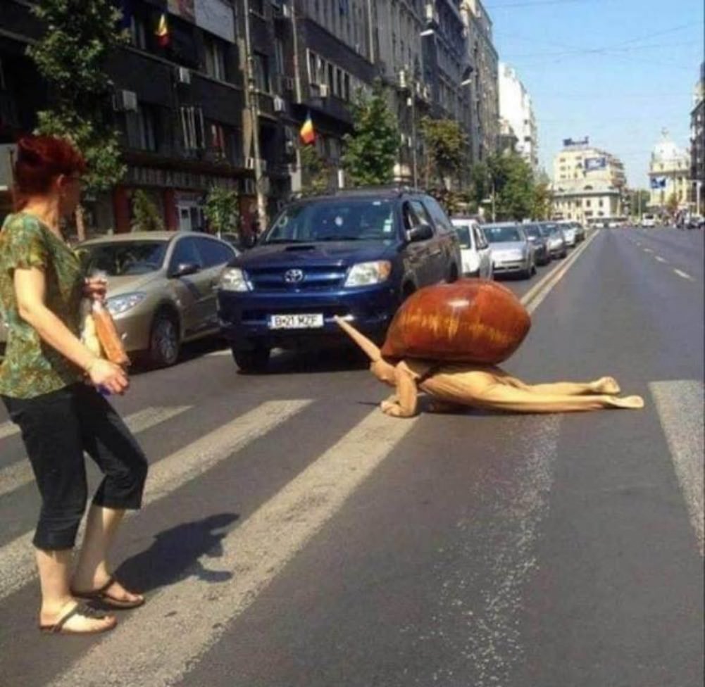 WTF