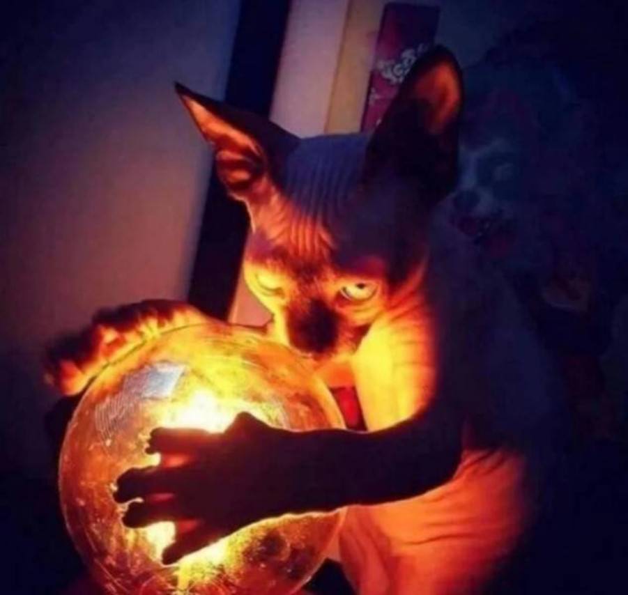 WTF