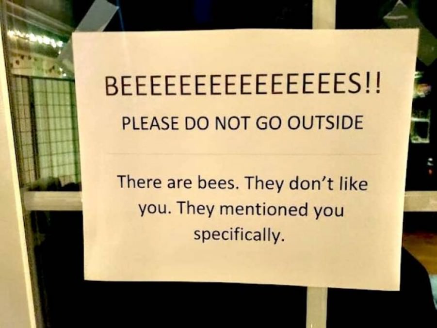 WTF
