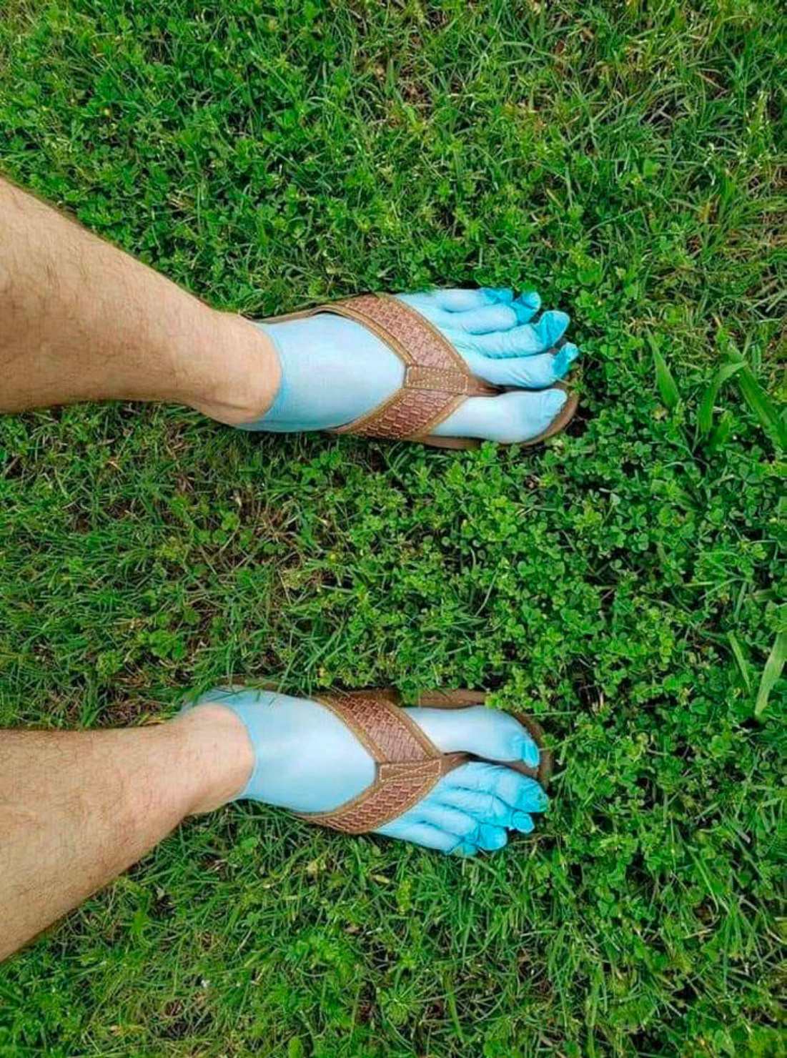 WTF