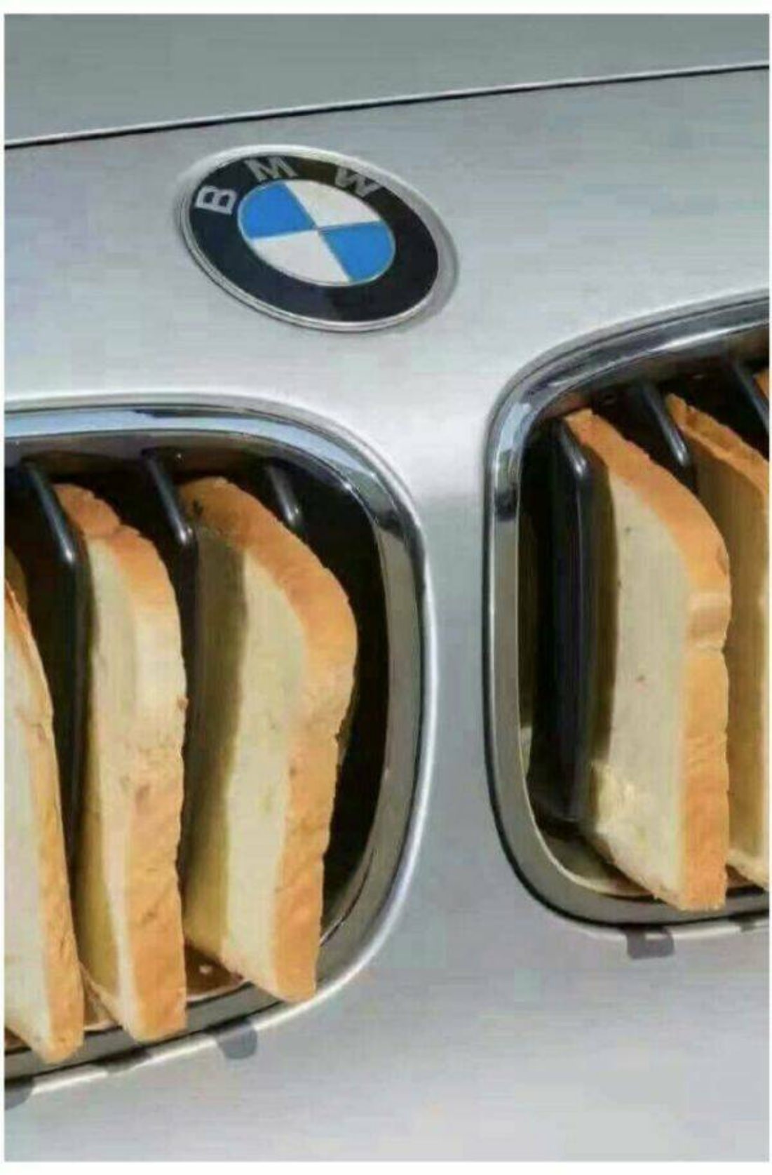 WTF