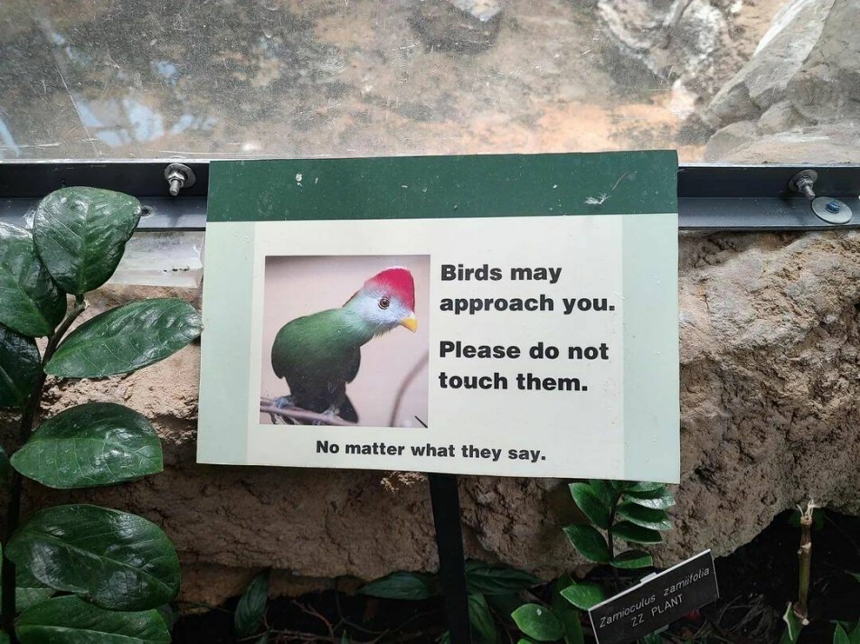 WTF