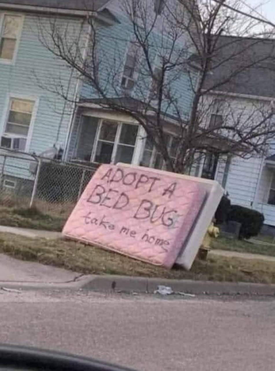 WTF