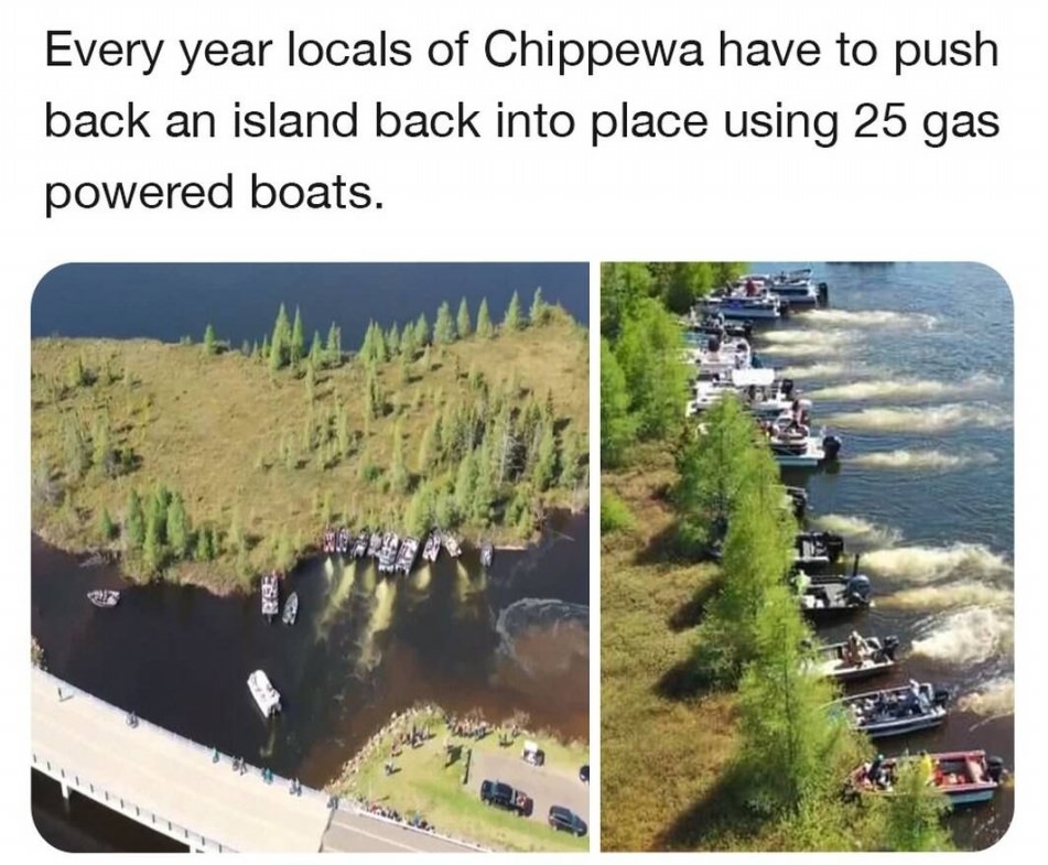 WTF
