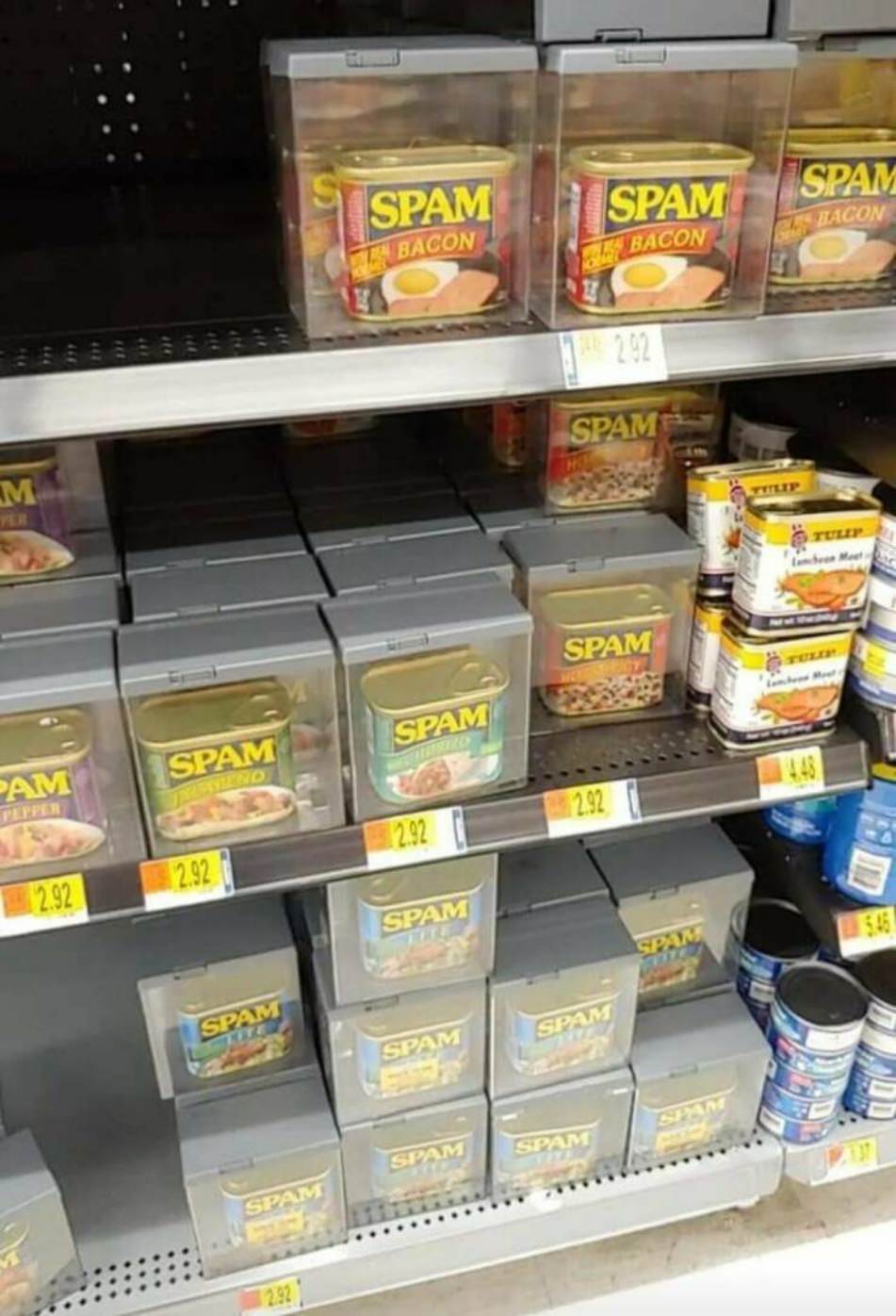 WTF