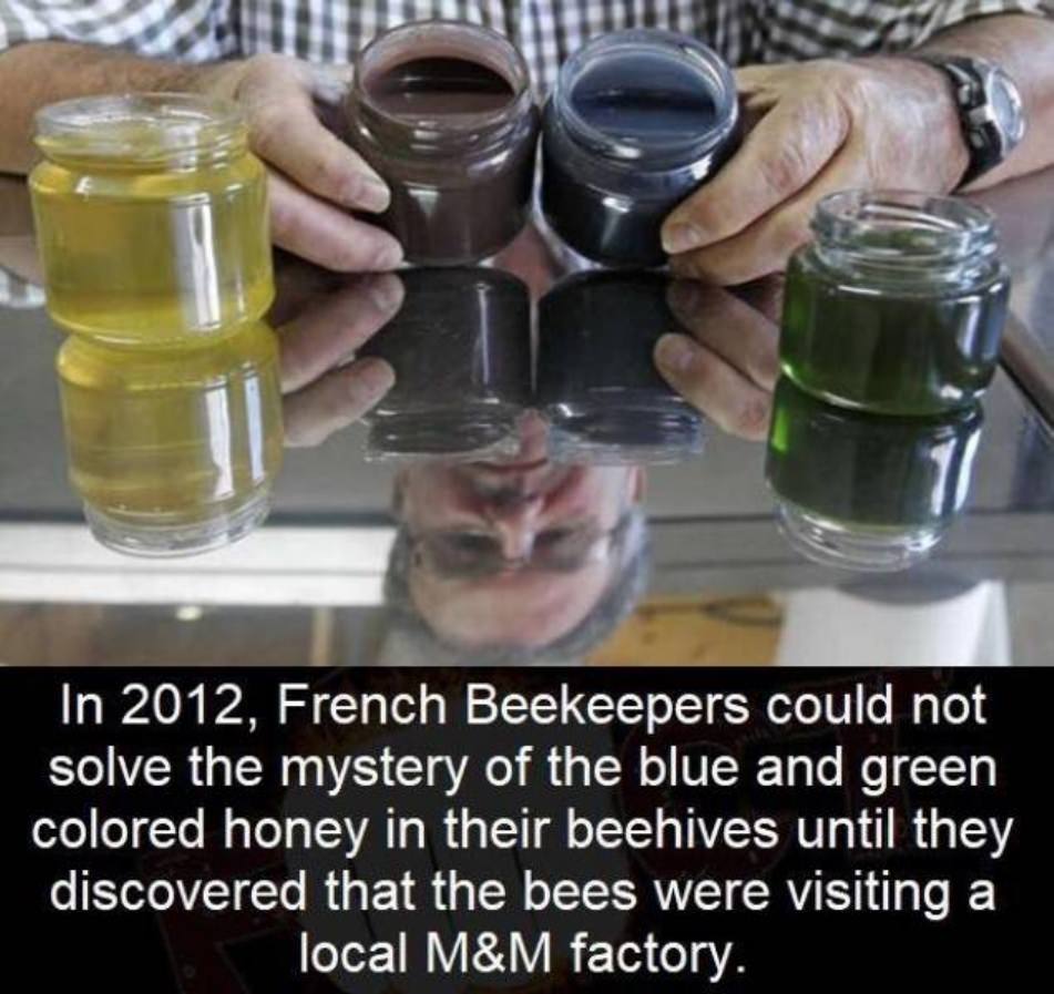 WTF